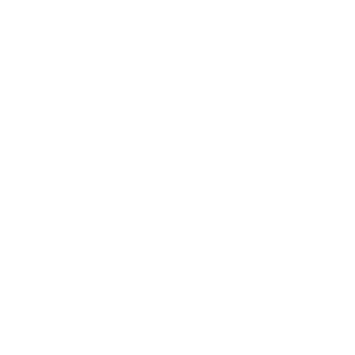 Moment logo vit